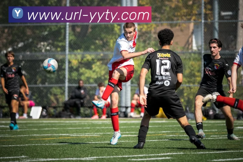 App Interface Preview