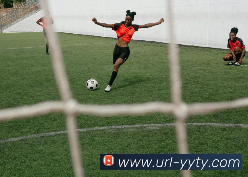 易游体育APP 封面图